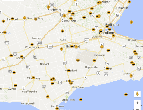 Guide to Eating Ontario Fish