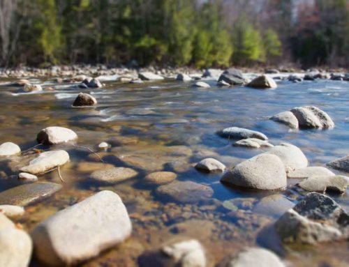 South River, VA – Mercury Remediation