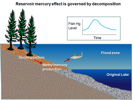 reservior_mecury_modeling_01
