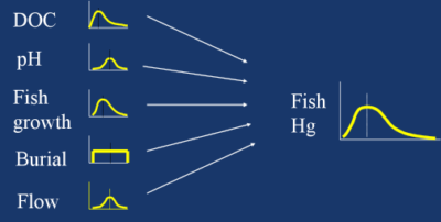 regional_mecury_modeling